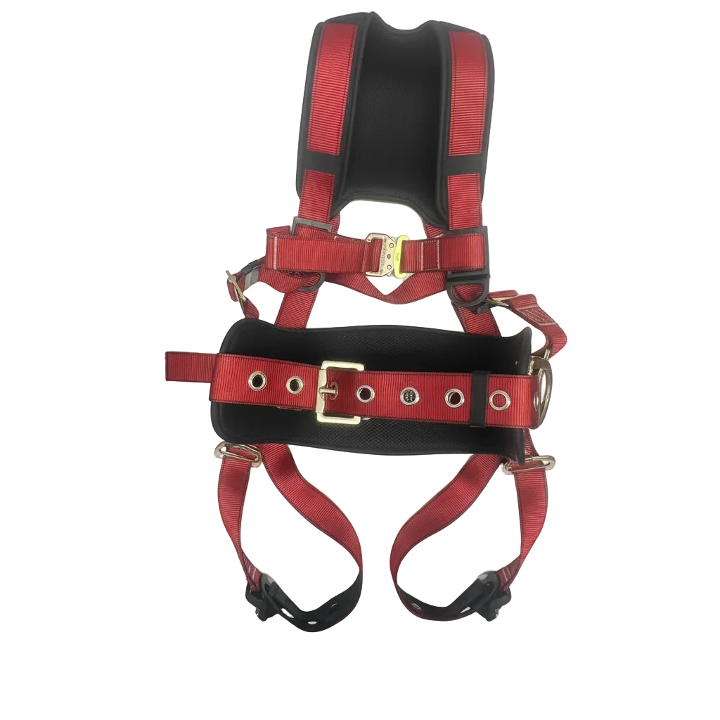 Longtaizi Arnés de Seguridad Profesional con Soporte Lumbar EPP